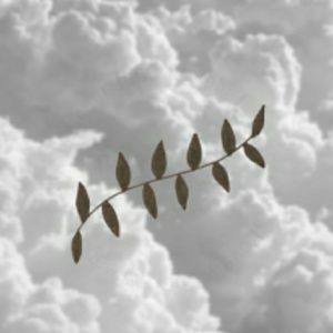 Meet your Posher, Jose